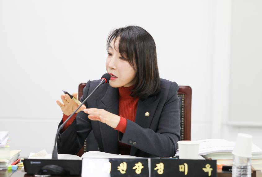 제313회 정례회 제2차 도시건설위원회 - 11